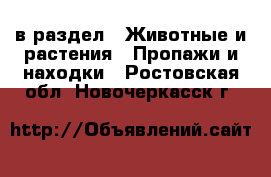  в раздел : Животные и растения » Пропажи и находки . Ростовская обл.,Новочеркасск г.